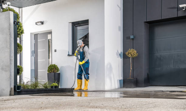 Best Gutter Cleaning  in Magee, MS